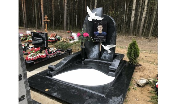 Галерея проектов, проект Памятник с мраморными чайками